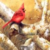Art Painting Bird Puzzles