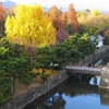 Jigsaw: Kyoto Nijo Garden