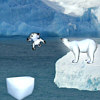 Polar Bear Crossing